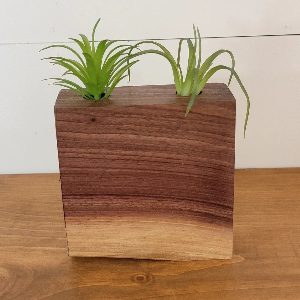Handmade Live Edge Walnut Wood Air Plant Holder 2 Hole Minimalist Block Decor
